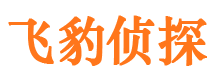 丰满外遇调查取证